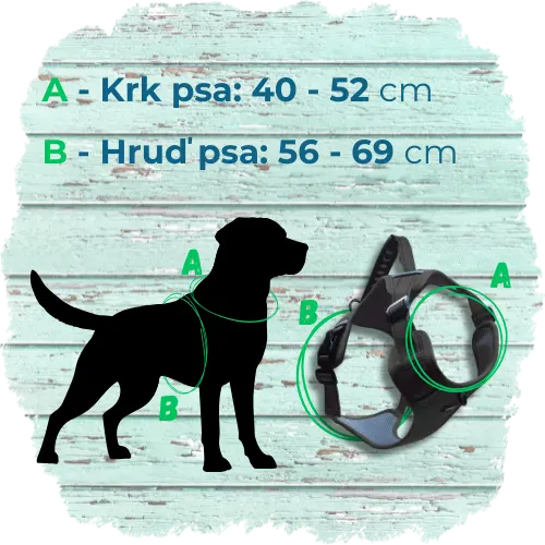 Vodítka (2).webp