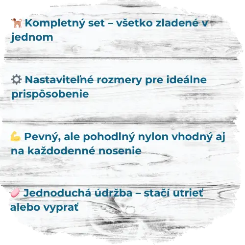 5.webp