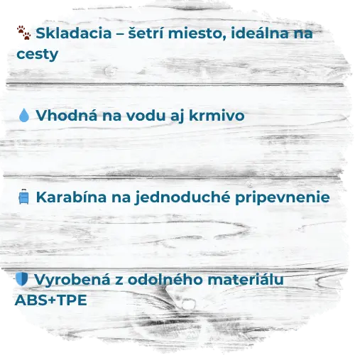 4.webp