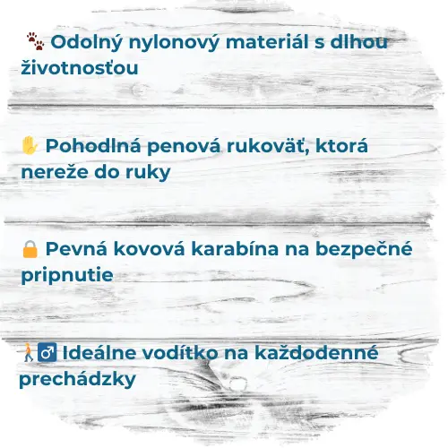 4.webp