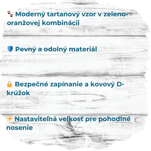 4.webp