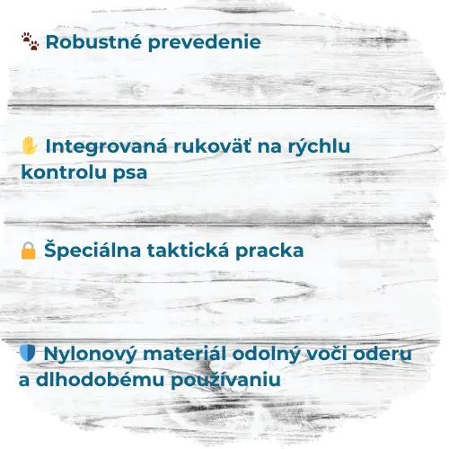 4.webp