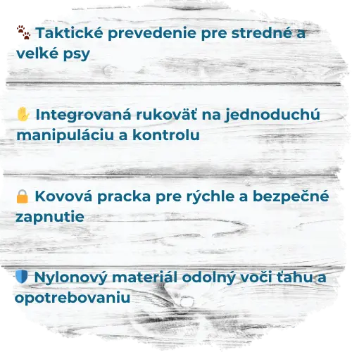 4.webp