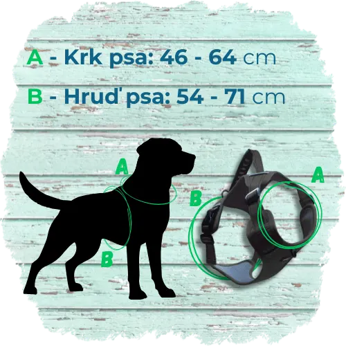 Vodítka (32).webp