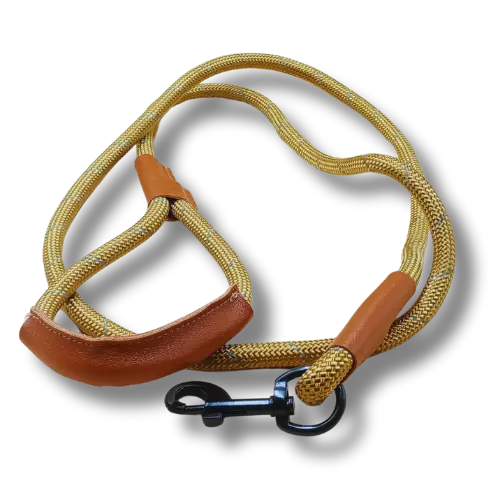 Vodítko s koženou rukoväťou – Nylon - Hnedé - 1x150cm  