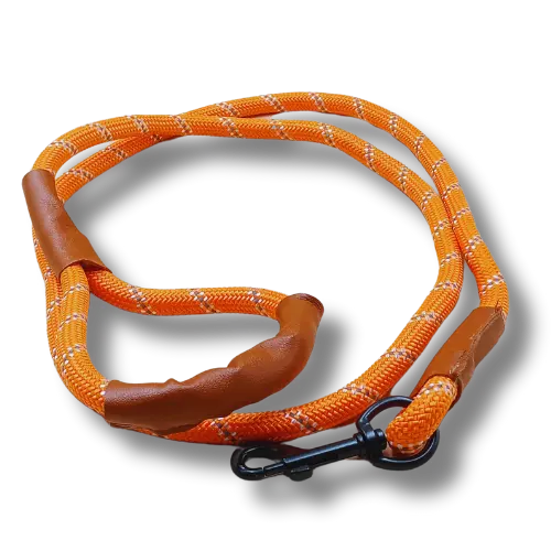 Vodítko s koženou rukoväťou – Nylon - Oranžové - 1x150cm 