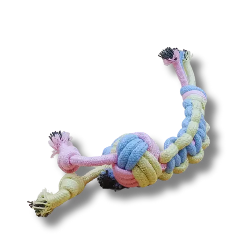 Hračka pre psa stredná - Lano - Húsenica- Zelená/Ružová/Žltá - 35cm Dĺžka 