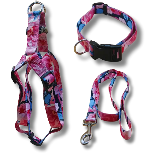 Set: postroj + obojok + vodítko – ruža- S