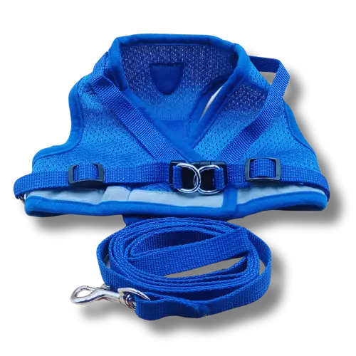 Set: postroj + vodítko – Modrý - S