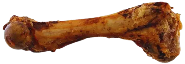 Pochúťka Rasco kosť bravčová pečená 211g