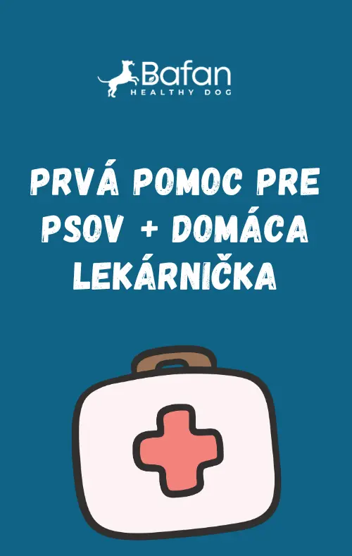 Ebook - Prvá pomoc pre psov + domáca lekárnička