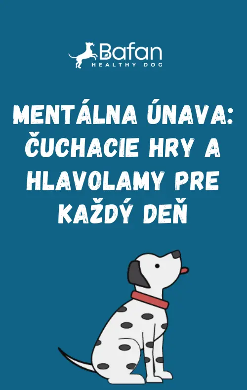 Ebook - Mentálna únava: čuchacie hry a hlavolamy pre každý deň