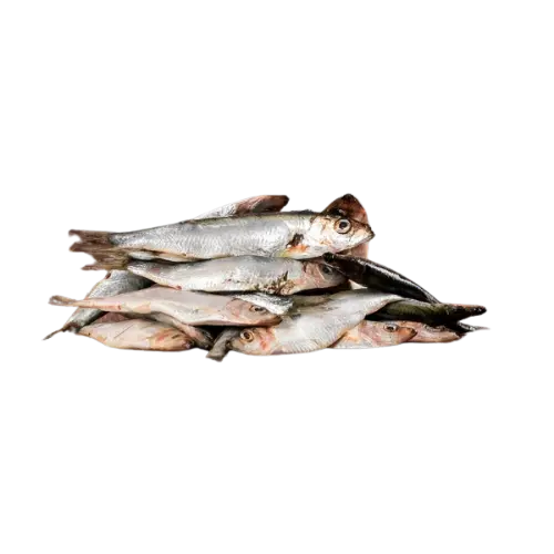 Sardinky 0,5 kg