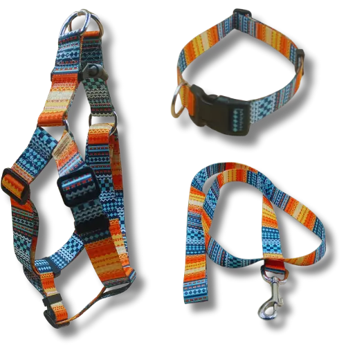Set: postroj + obojok + vodítko – Oranž - L