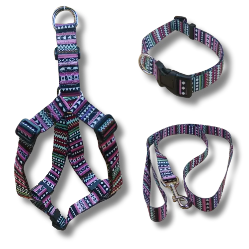 Set: postroj + obojok + vodítko – Modro - L