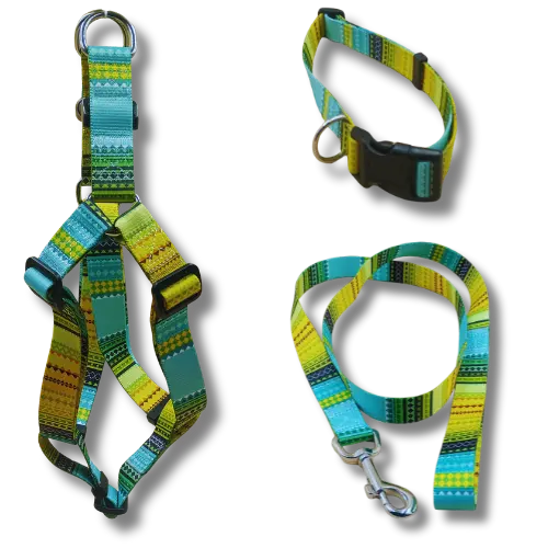 Set: postroj + obojok + vodítko – žltko - L