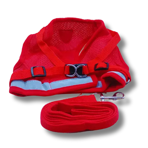 Set: postroj + vodítko – Červené - M