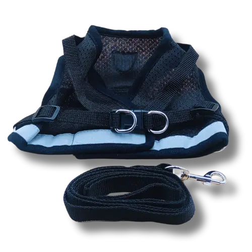 Set: postroj + vodítko – Čierny - S