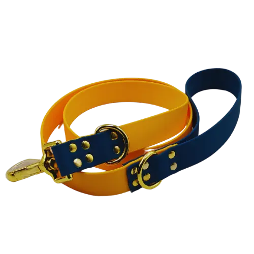 Mestské vodítko - vodeodolné - 127 cm - Žltá/Modrá/Zlatá