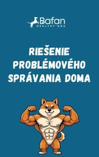 Ebook - Riešenie problémového správania doma