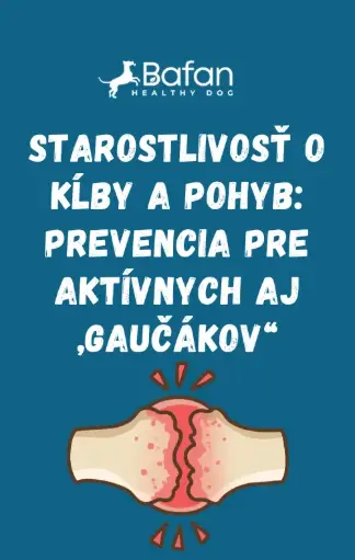 Ebook - Starostlivosť o kĺby a pohyb: prevencia pre aktívnych aj „gaučákov“