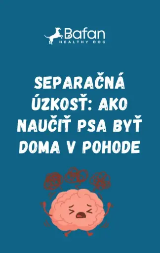 Ebook - Separačná úzkosť: ako naučiť psa byť doma v pohode