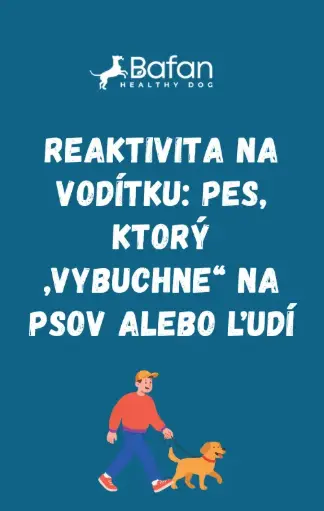 Ebook - Reaktivita na vodítku: pes, ktorý „vybuchne“ na psov alebo ľudí