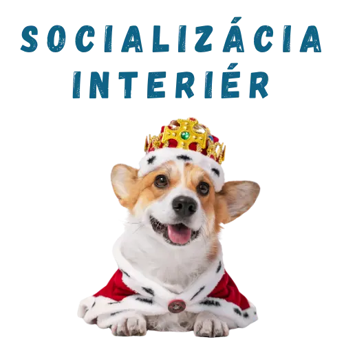 Socializácia Interiér 